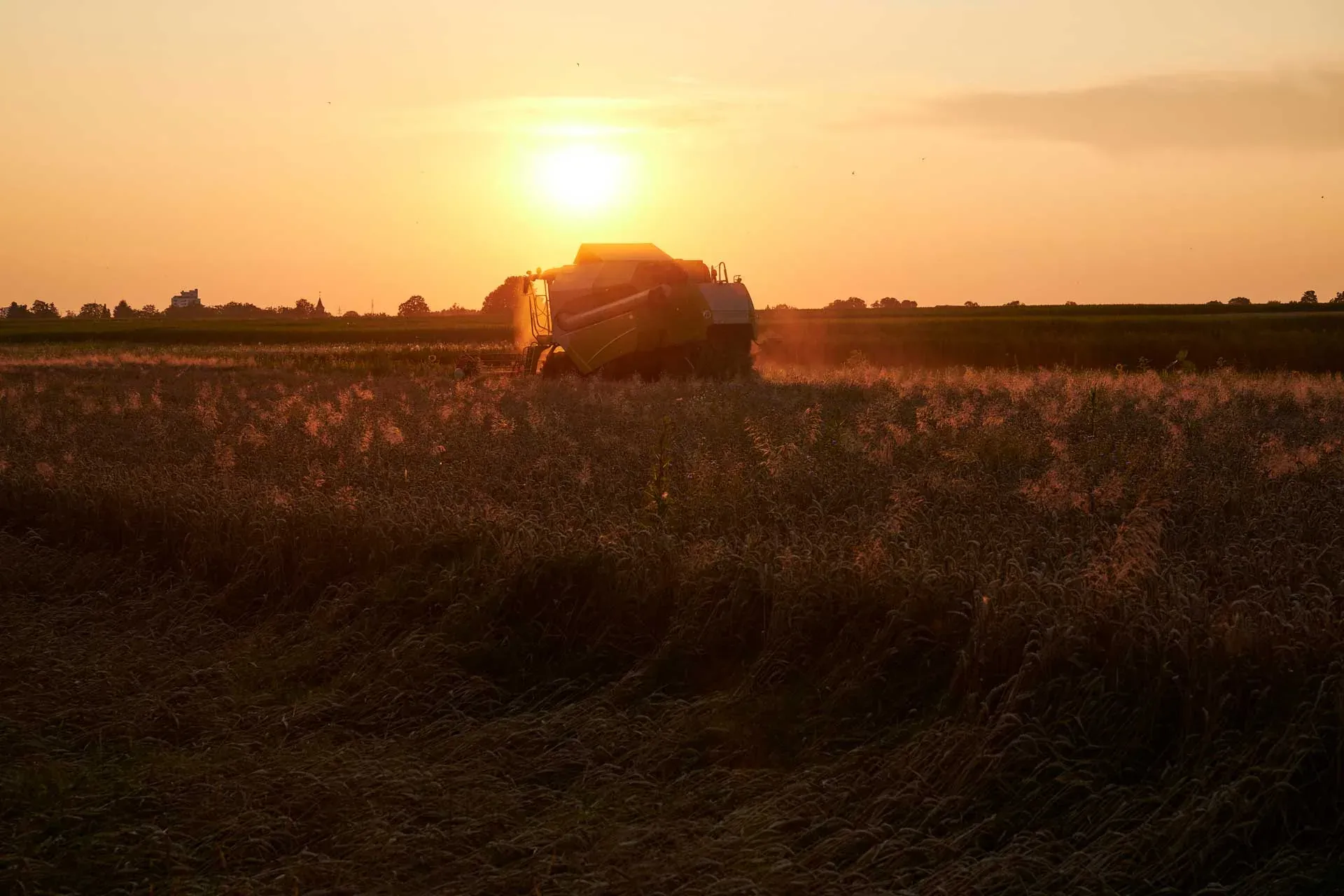 Ernte auf einem Feld im Rems-Murr-Kreis