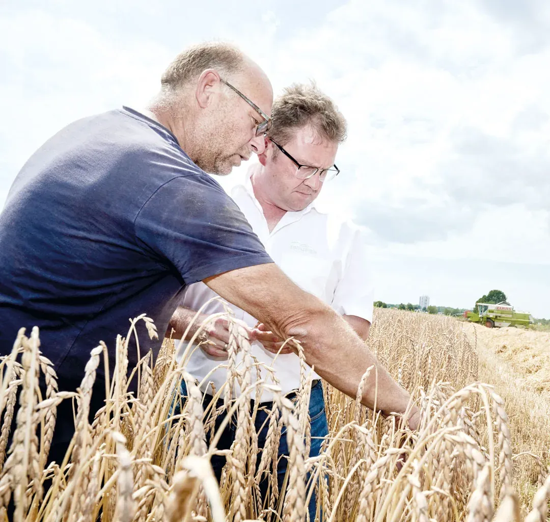 Tobias Maurer mit Landwirt auf dem Getreidefeld