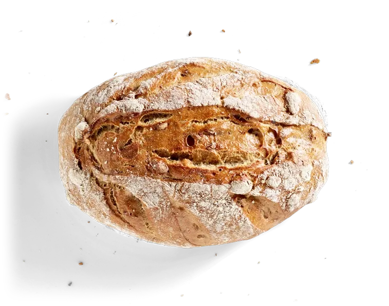 Nussbrot, freigestellt von oben
