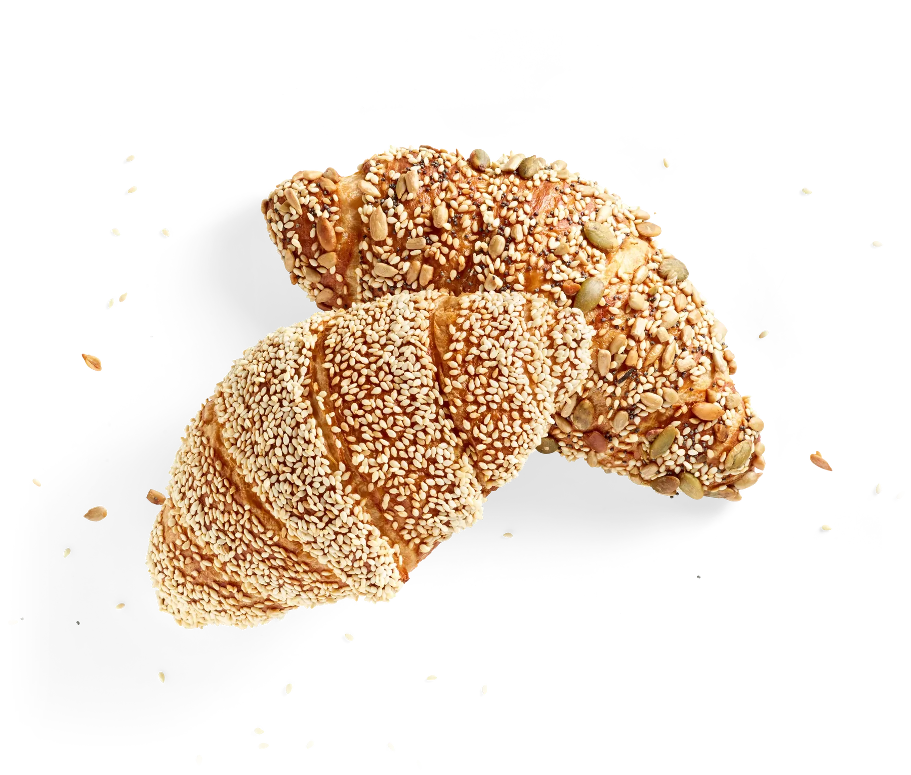 Saaten Laugen-Buttercroissant, freigestellt von oben