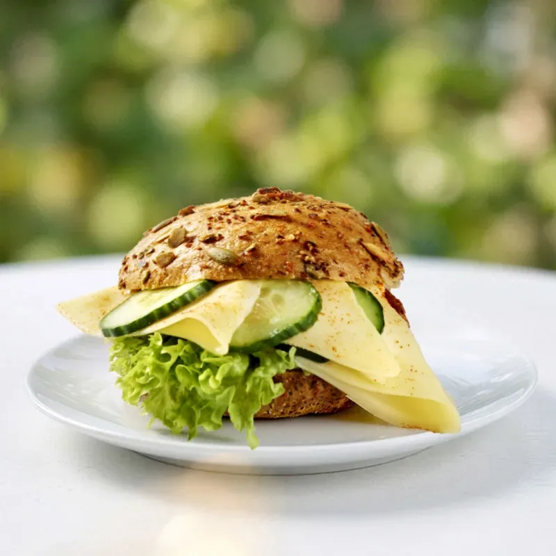 Körnerbrötchen belegt mit Käse, Gurke und Salat auf weißem Teller