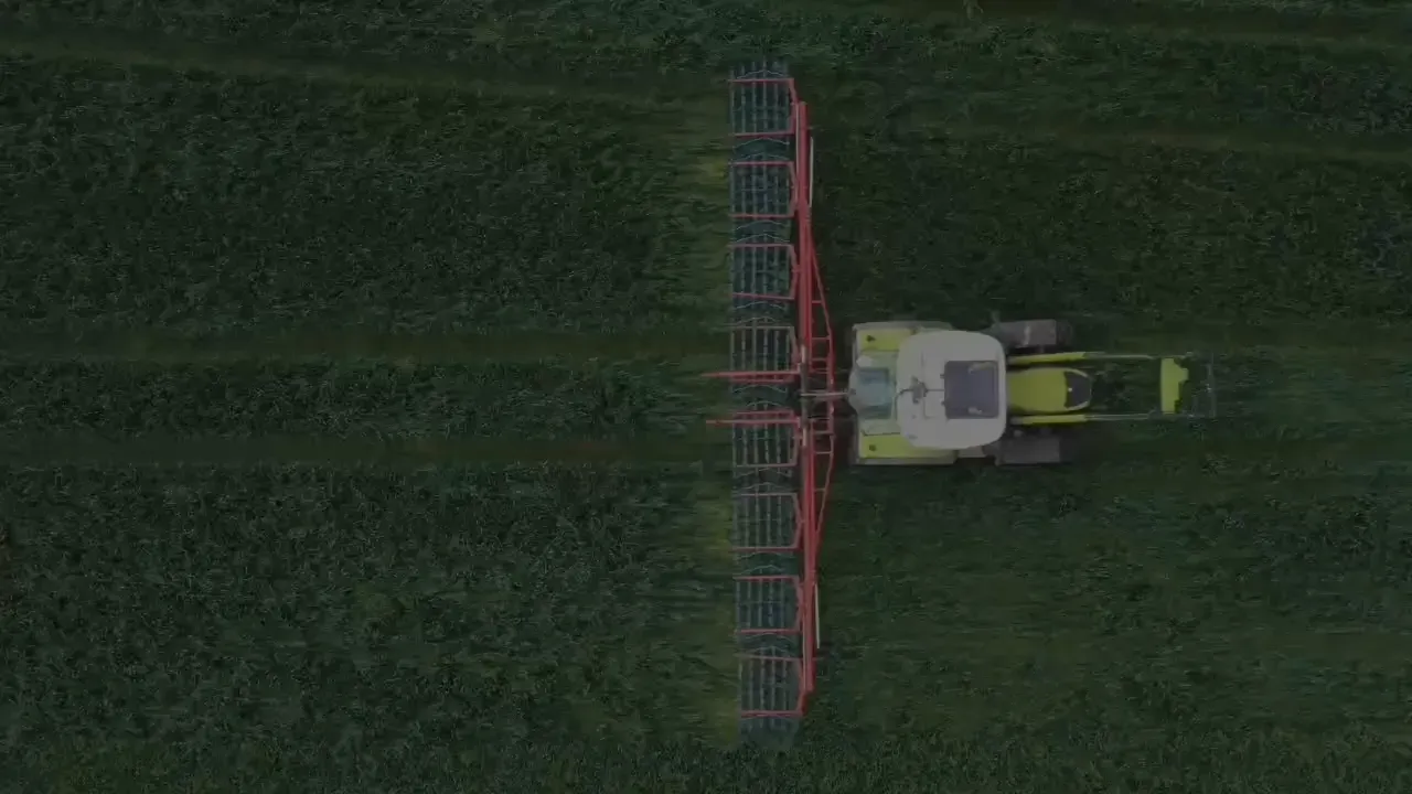 Striegel aus der Luft, die Zinken ziehen Bahnen durch das grüne Feld